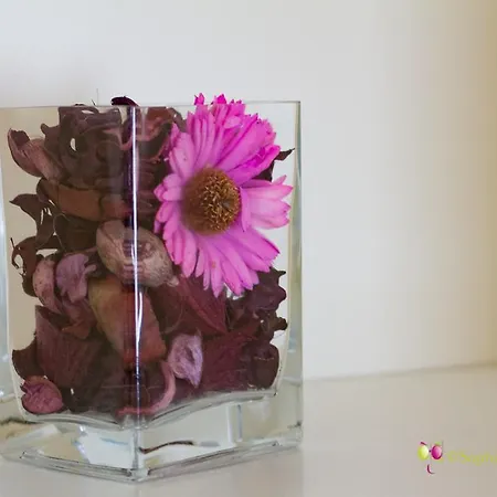 Hotel L'hostellerie D'acquigny 3*