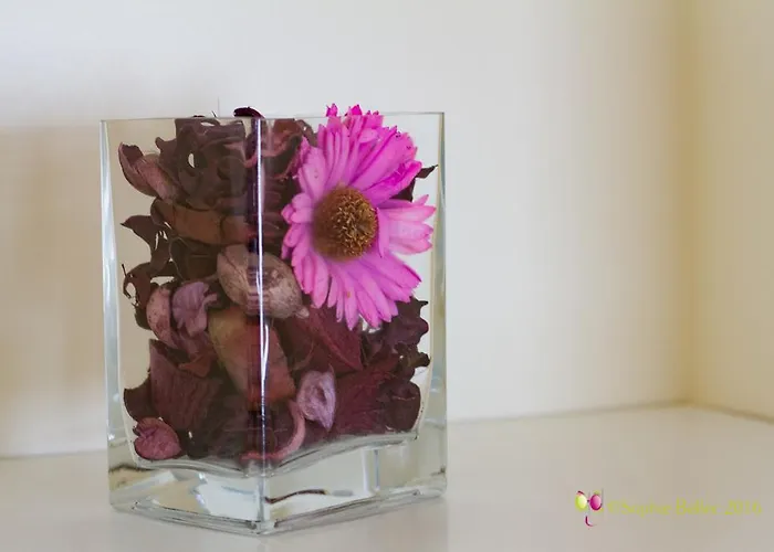 Hotel L'hostellerie D'acquigny 3*